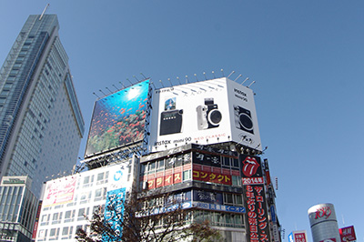 b0056983_11234163.jpg