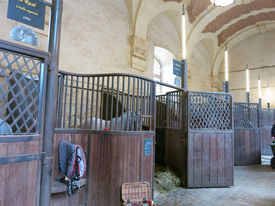 f0176688_10274580.jpg