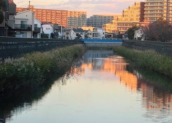 e0143690_1022226.jpg