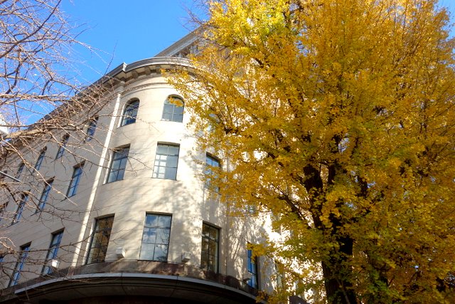 f0137694_4421850.jpg