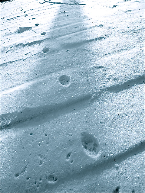 a0199297_1827072.jpg