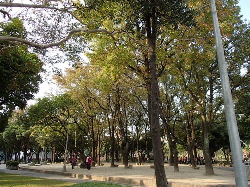 f0107398_5571166.jpg