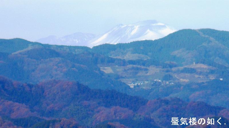 e0304702_8255249.jpg