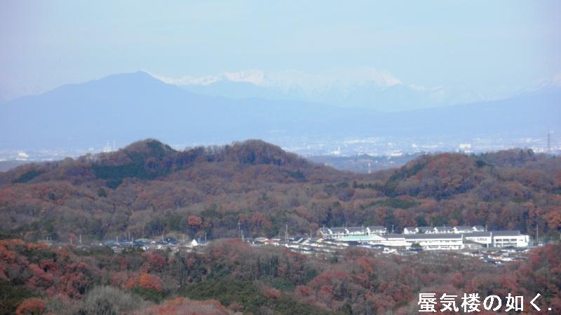 e0304702_8264716.jpg