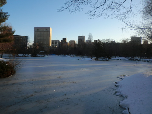 e0242504_20135999.jpg