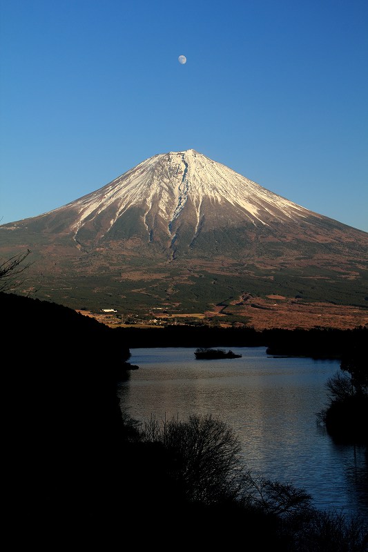 a0188405_22484377.jpg