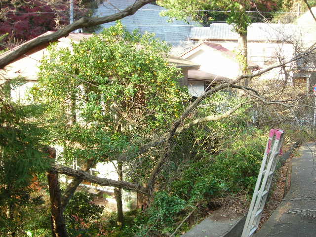 b0096418_1595547.jpg