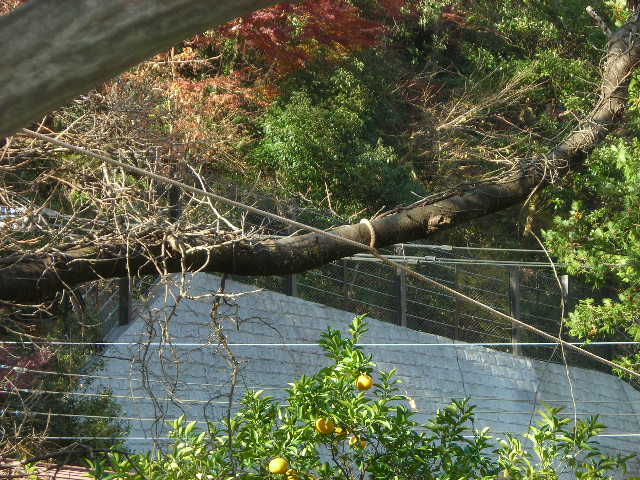 b0096418_2121921.jpg