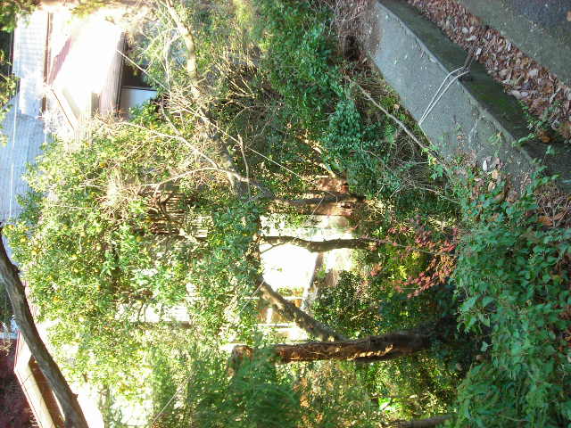 b0096418_215816.jpg