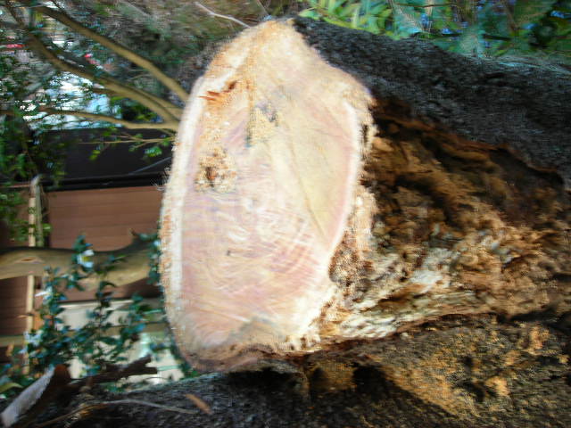 b0096418_223584.jpg