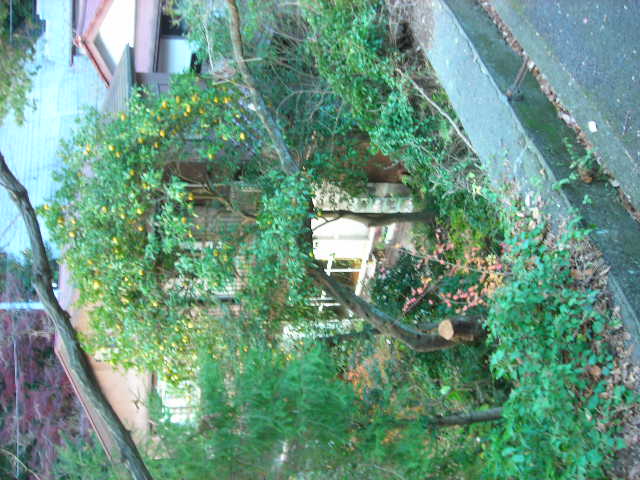b0096418_244674.jpg