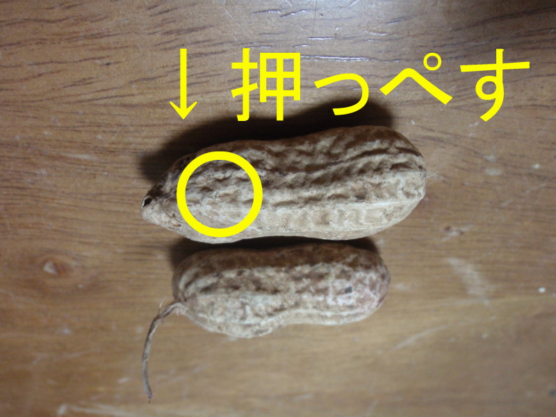 c0034029_1281892.jpg