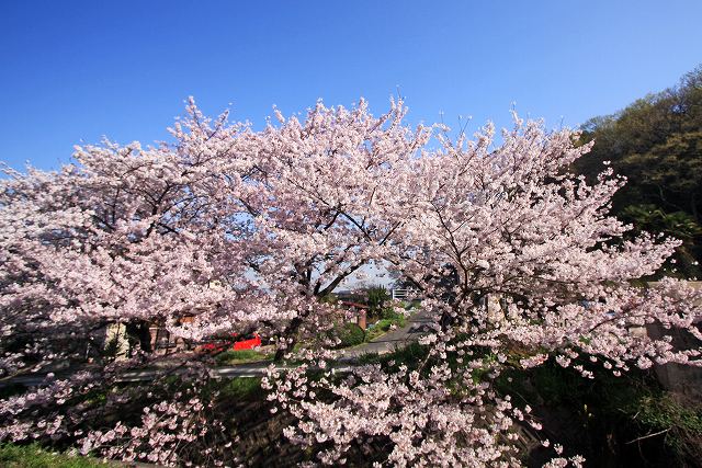 a0242438_2225658.jpg