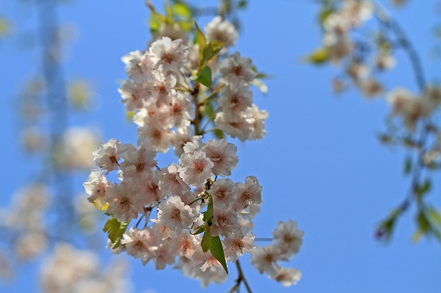 a0242438_2228312.jpg