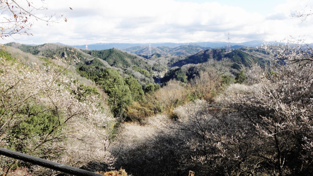 c0172139_1094716.jpg