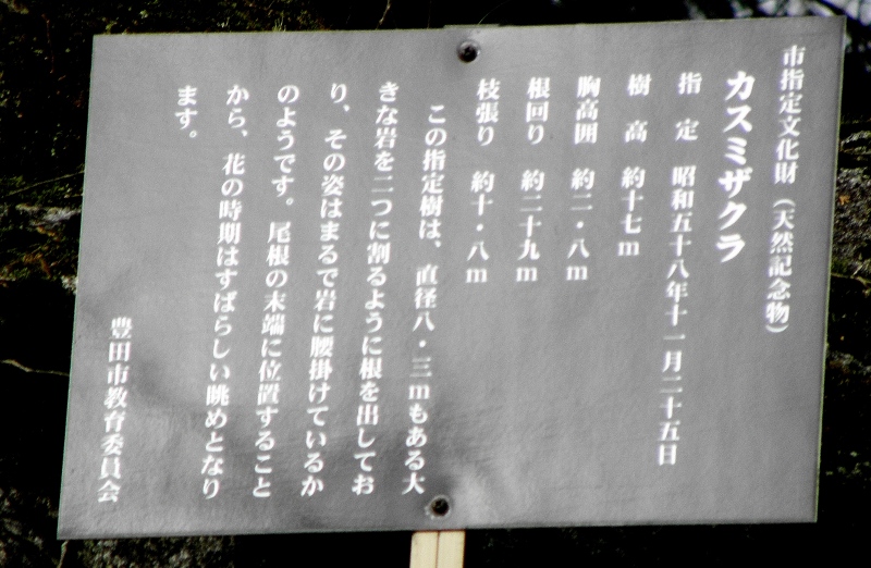 c0172139_11551799.jpg