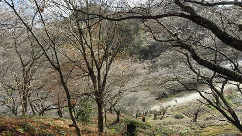 c0172139_7433141.jpg