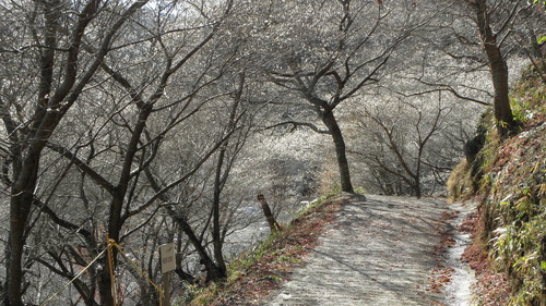 c0172139_7531229.jpg