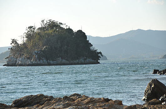 f0094843_10472191.jpg