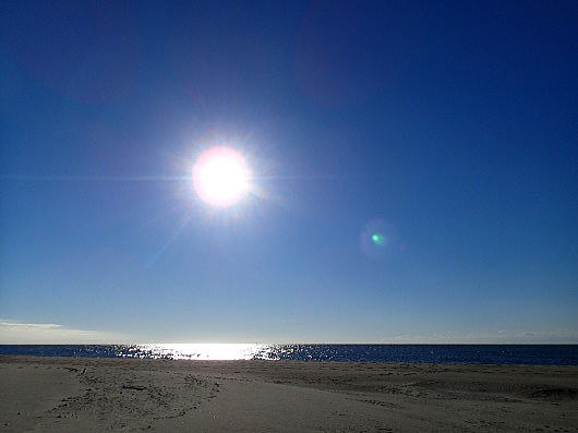 f0094843_12294928.jpg