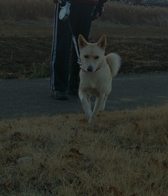 f0195543_032831.jpg