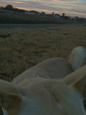 f0195543_04018.jpg