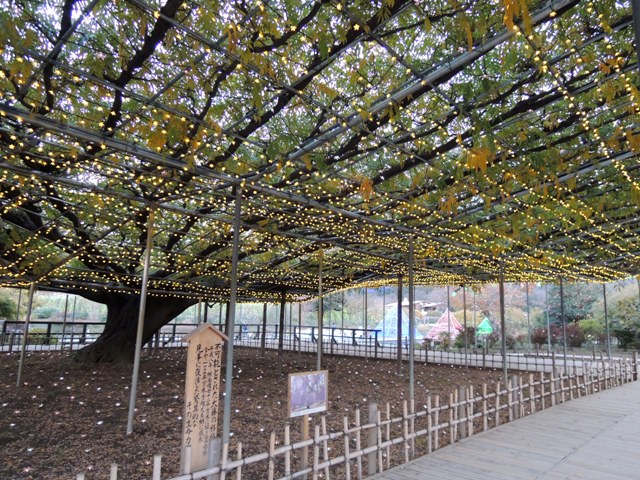 b0173754_16502720.jpg