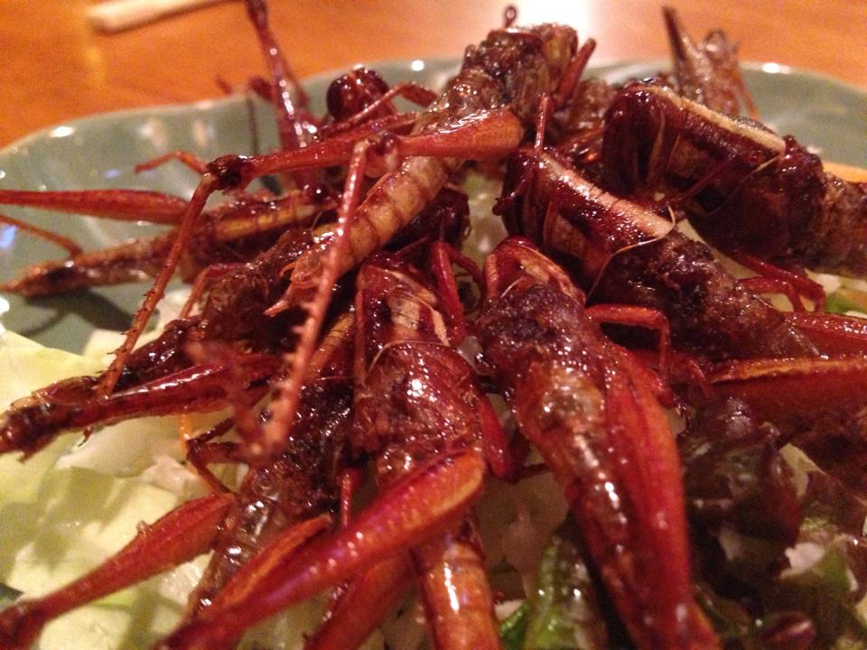 b0002156_7312088.jpg