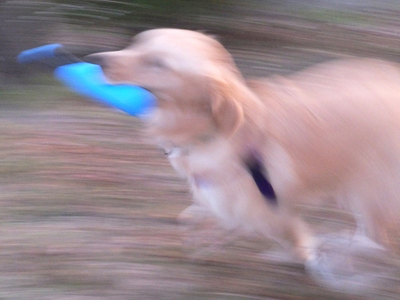 c0097558_20551828.jpg