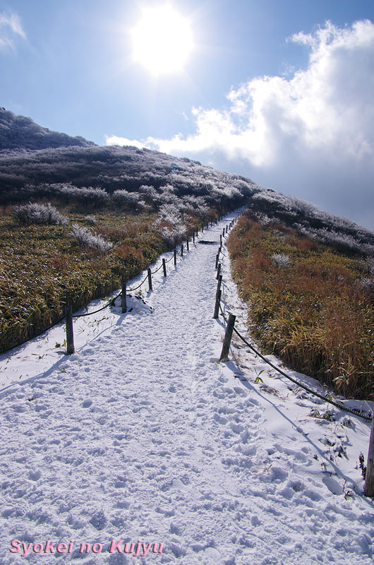 c0288262_2095463.jpg