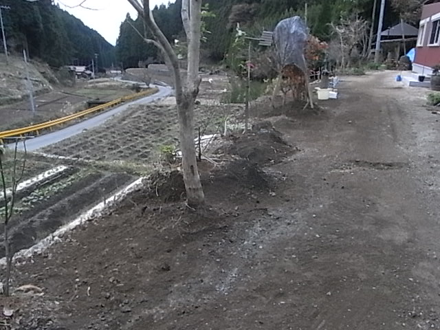 a0146070_4464218.jpg