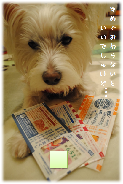 b0242873_1591731.png