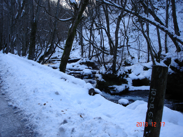 d0165378_8463446.jpg