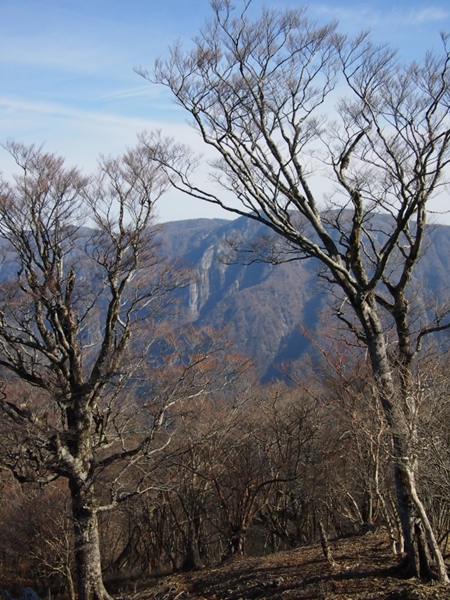 b0244811_23333440.jpg