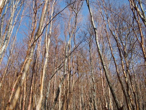 b0244811_23365220.jpg