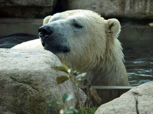 a0151913_141047.jpg