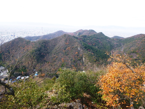 d0170615_1312330.jpg