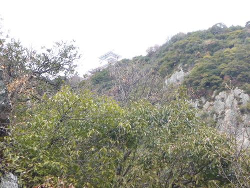 d0170615_132784.jpg