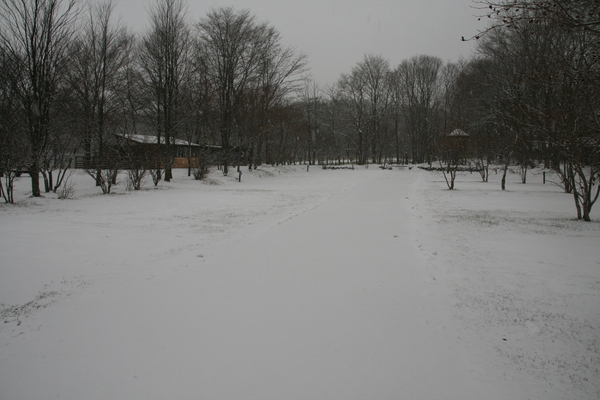 b0174425_15244318.jpg