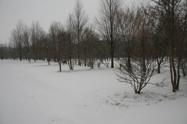 b0174425_15271268.jpg
