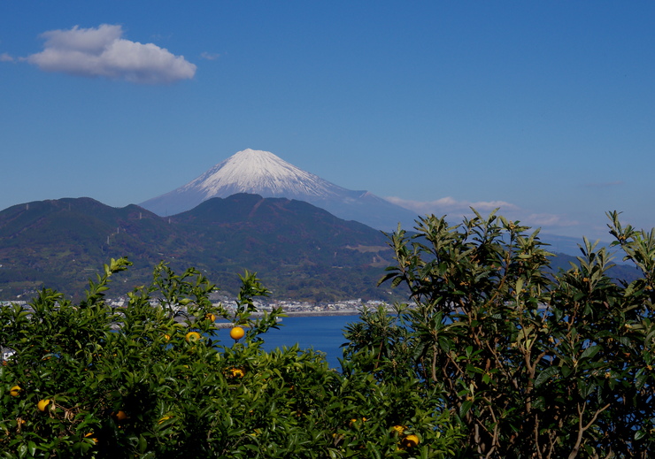 b0242140_15405992.jpg