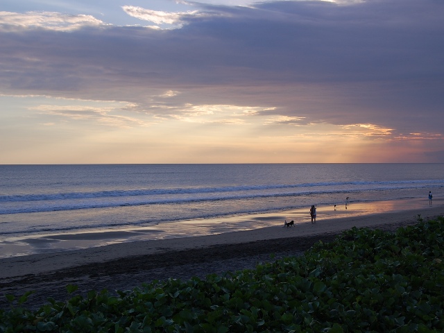 f0201054_2261427.jpg