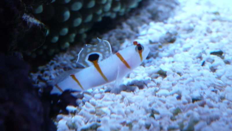 d0325056_20305854.jpg