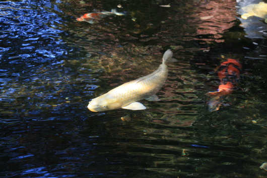 c0115366_2019361.jpg