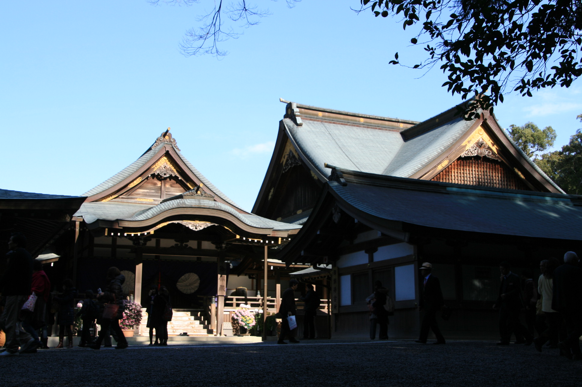 c0115366_2083093.jpg