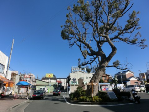 e0045768_2157142.jpg