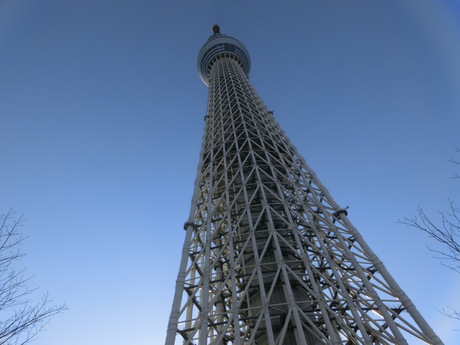 f0223972_7231266.jpg