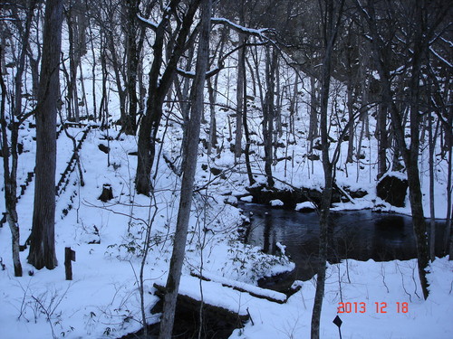 d0165378_16384790.jpg