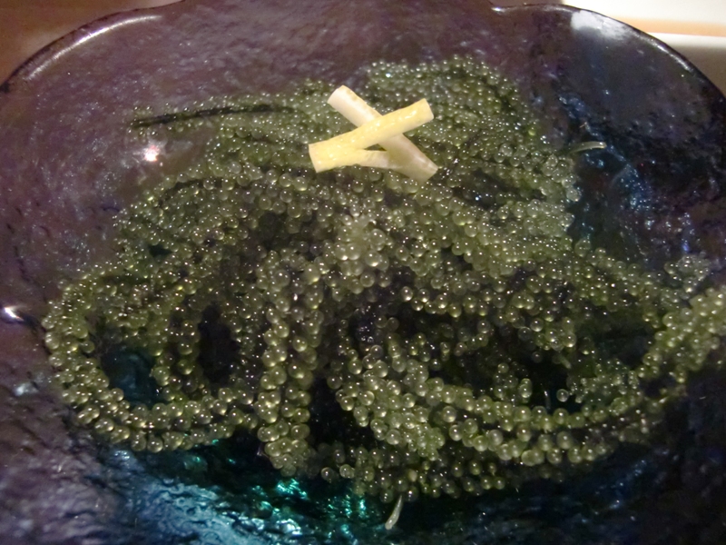 f0238779_08434029.jpg