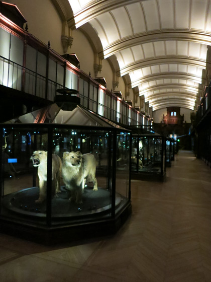 f0176688_1101130.jpg